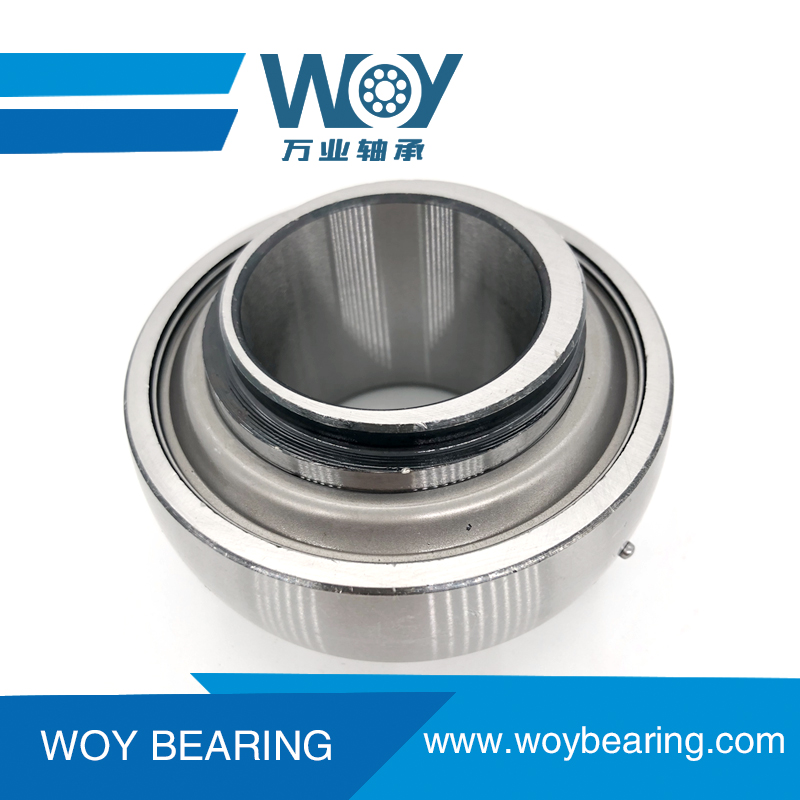 Maintenance-free Bearing